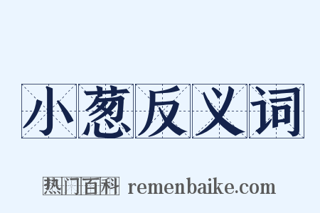 小葱反义词是什么意思的图片